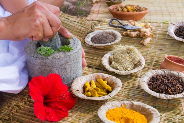Approaching Ayurveda