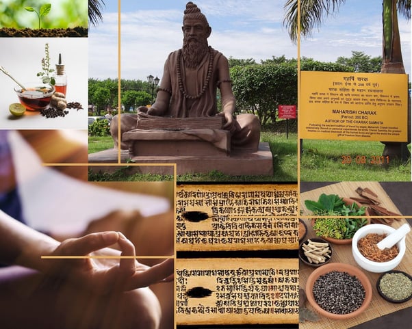 The History and Spread of Medicine and Medical Knowledge