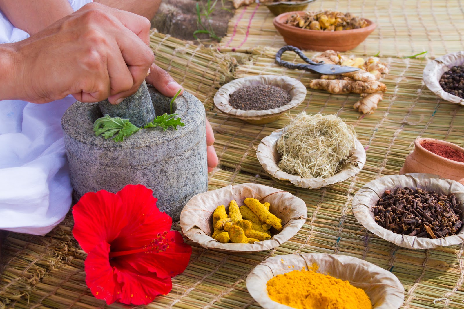 Read full post: Approaching Ayurveda